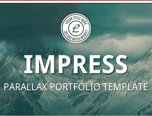 攻击网站服务器